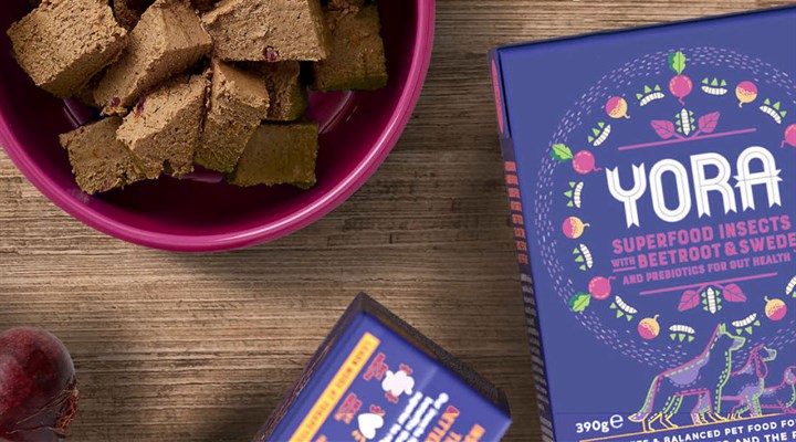 New pate image copy.jpg